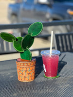 Leather Prickly Pear Cactus Coaster Gift Set